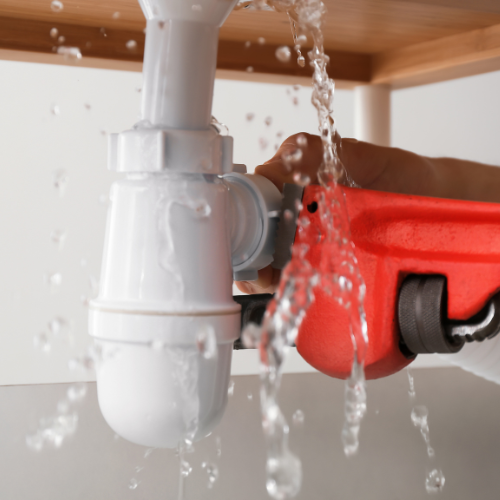 What does FIP stand for in Plumbing?